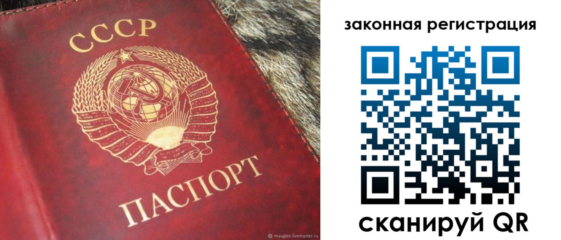 прописка от собственника в Зиме